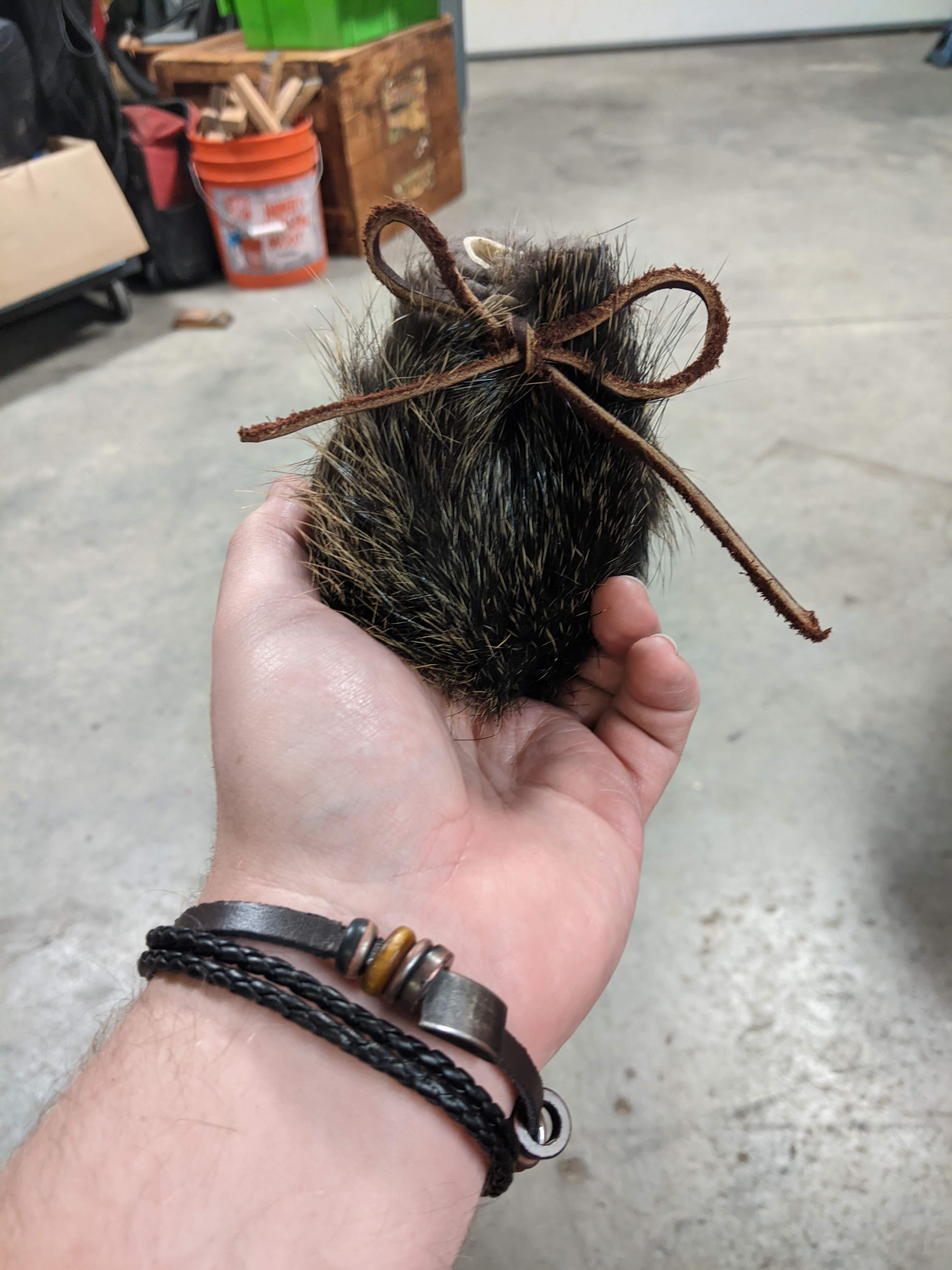 Charm or oddity by The Wizard